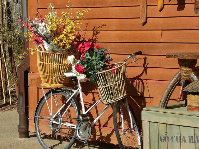 Blog image for Top Denver Biking Trails