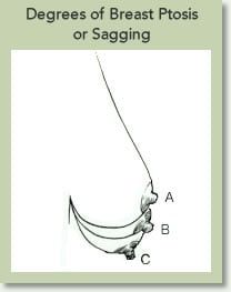 BEAUTY by BUFORD Image